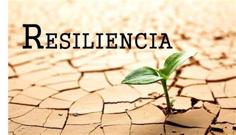 significado de a|significado de resiliencia.